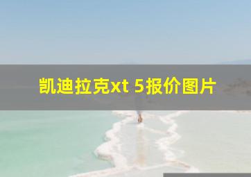 凯迪拉克xt 5报价图片